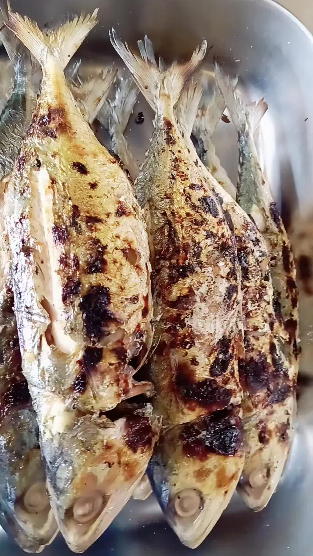@emashakila