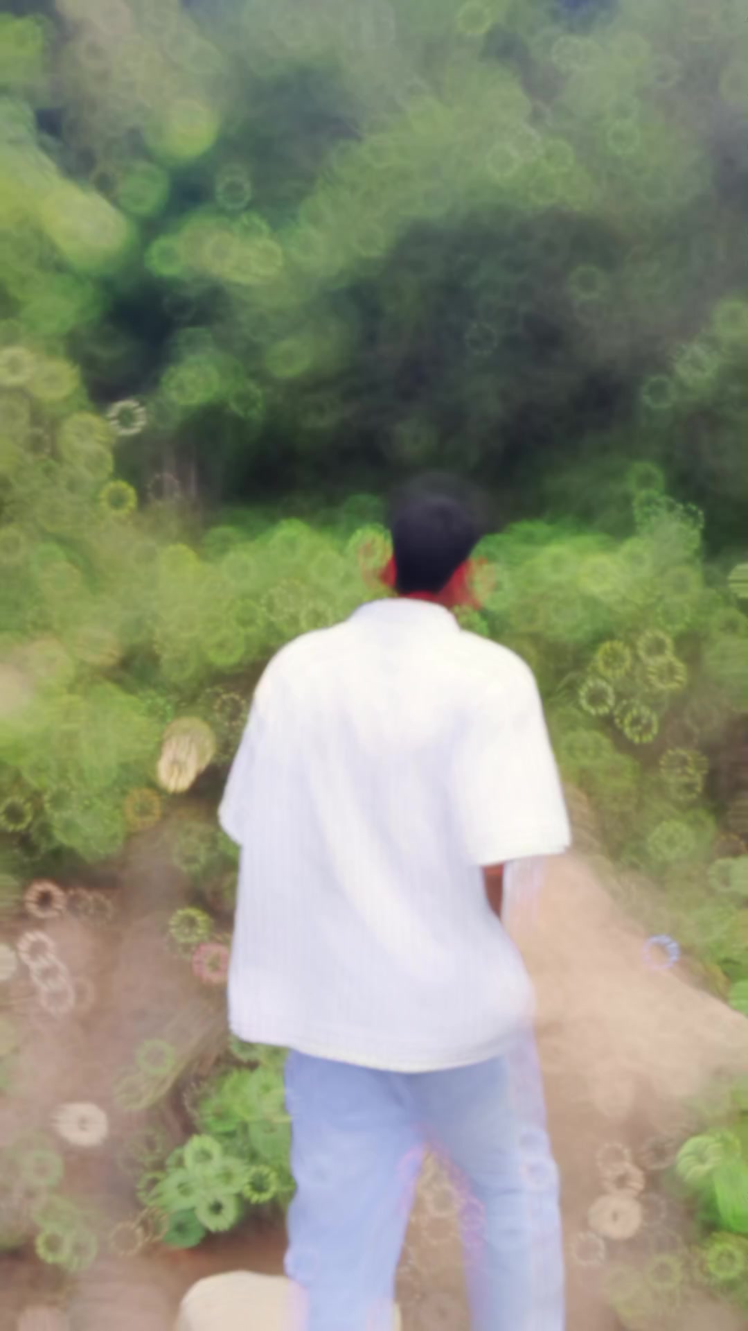 @Tษชสแดแด.!!๐