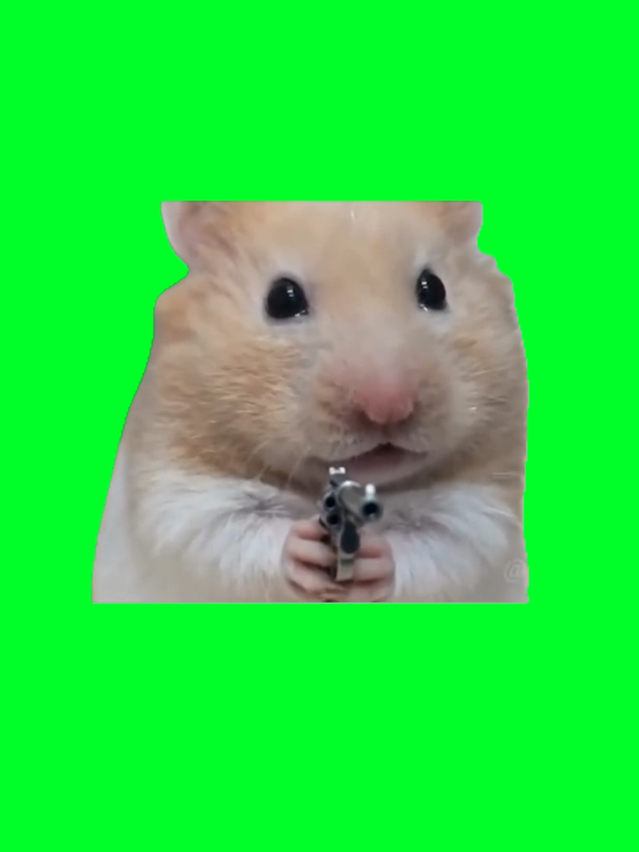 @TikTok Template