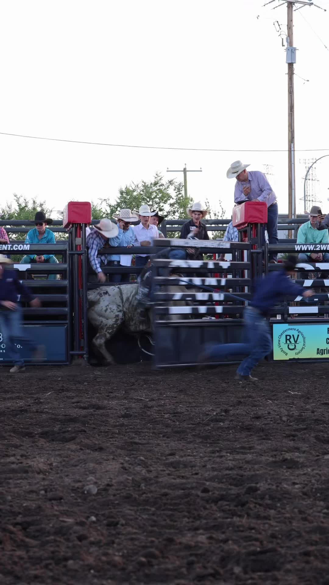 @Lazy P Rodeo