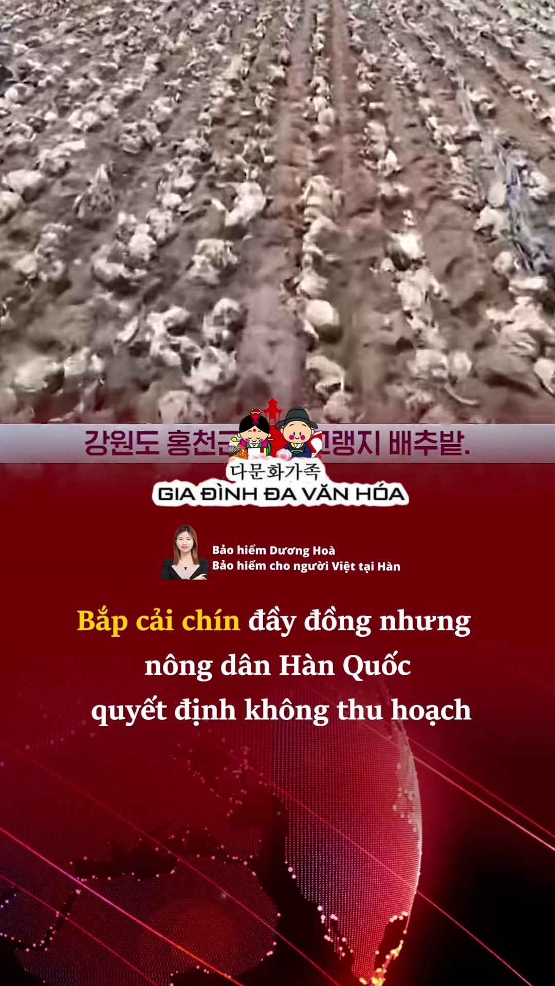 @다문화가족 - GIA ĐÌNH ĐA VĂN HÓA