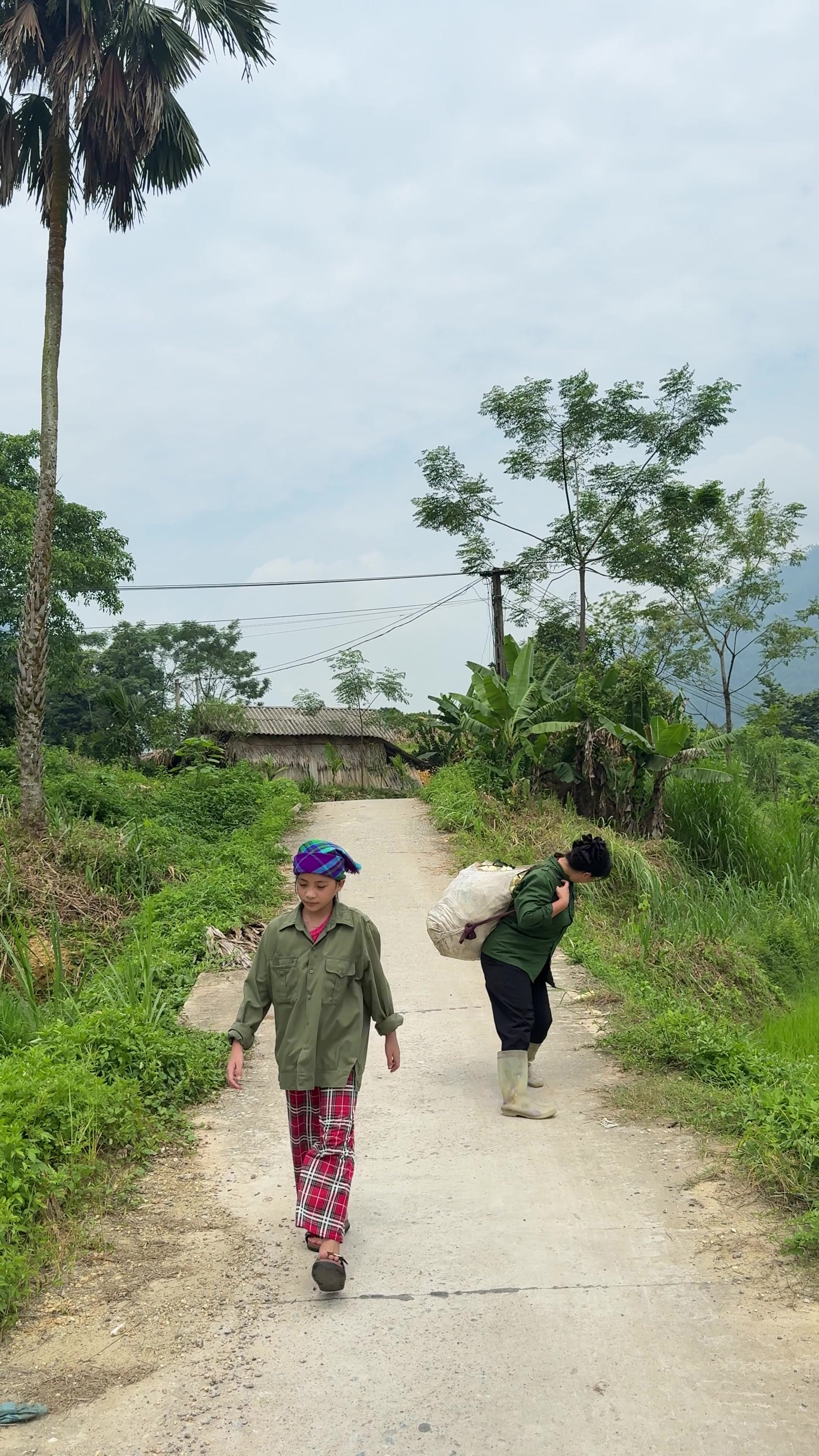 @Sức Tày