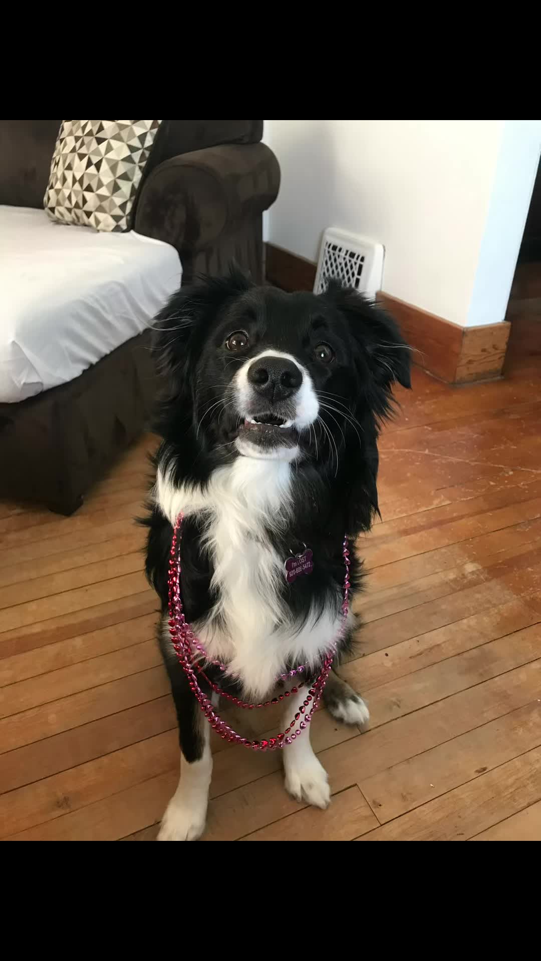 @GeminiBlondie