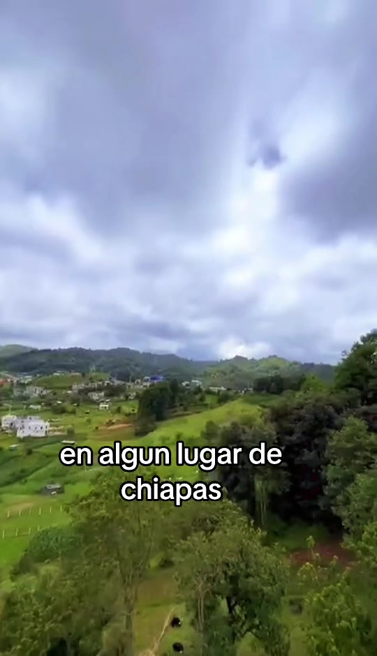 @carlos