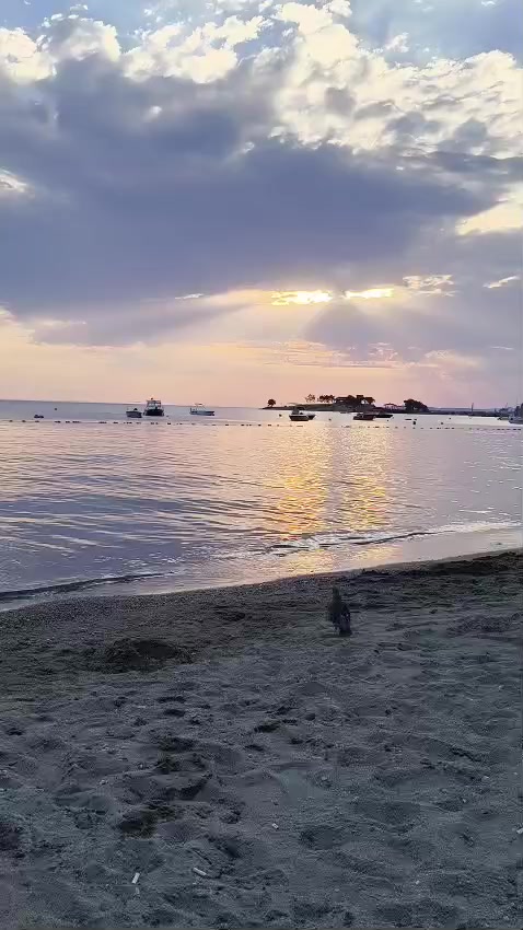@Yalçın Kaya