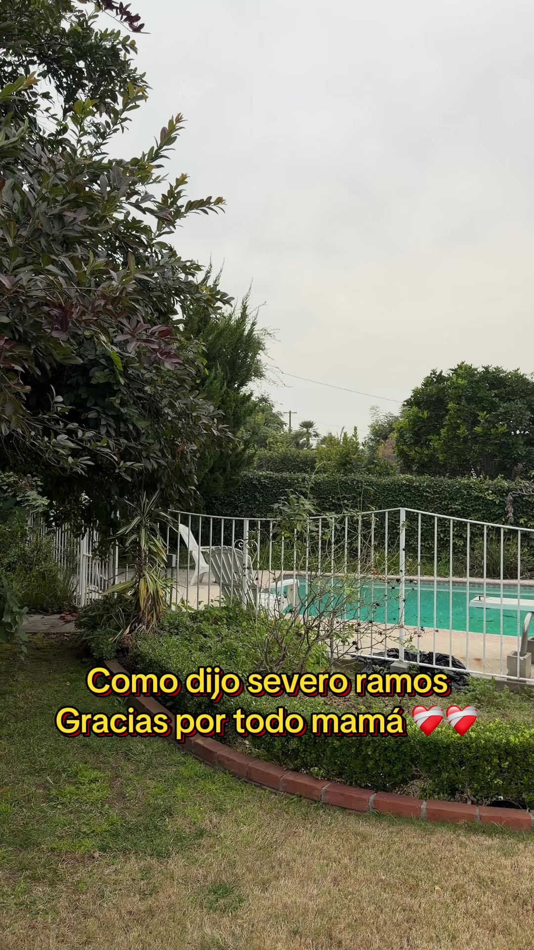@El Vecino Chistoso
