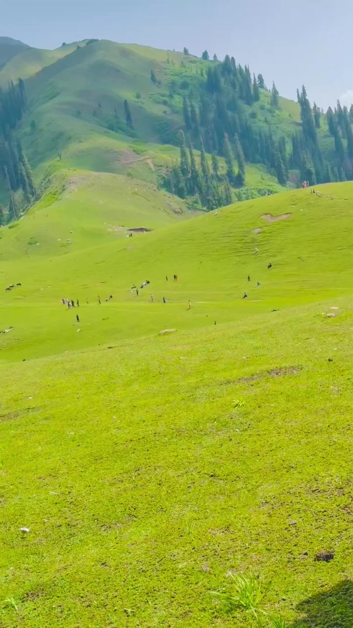 @❤️ریاُُض یارباش❤️