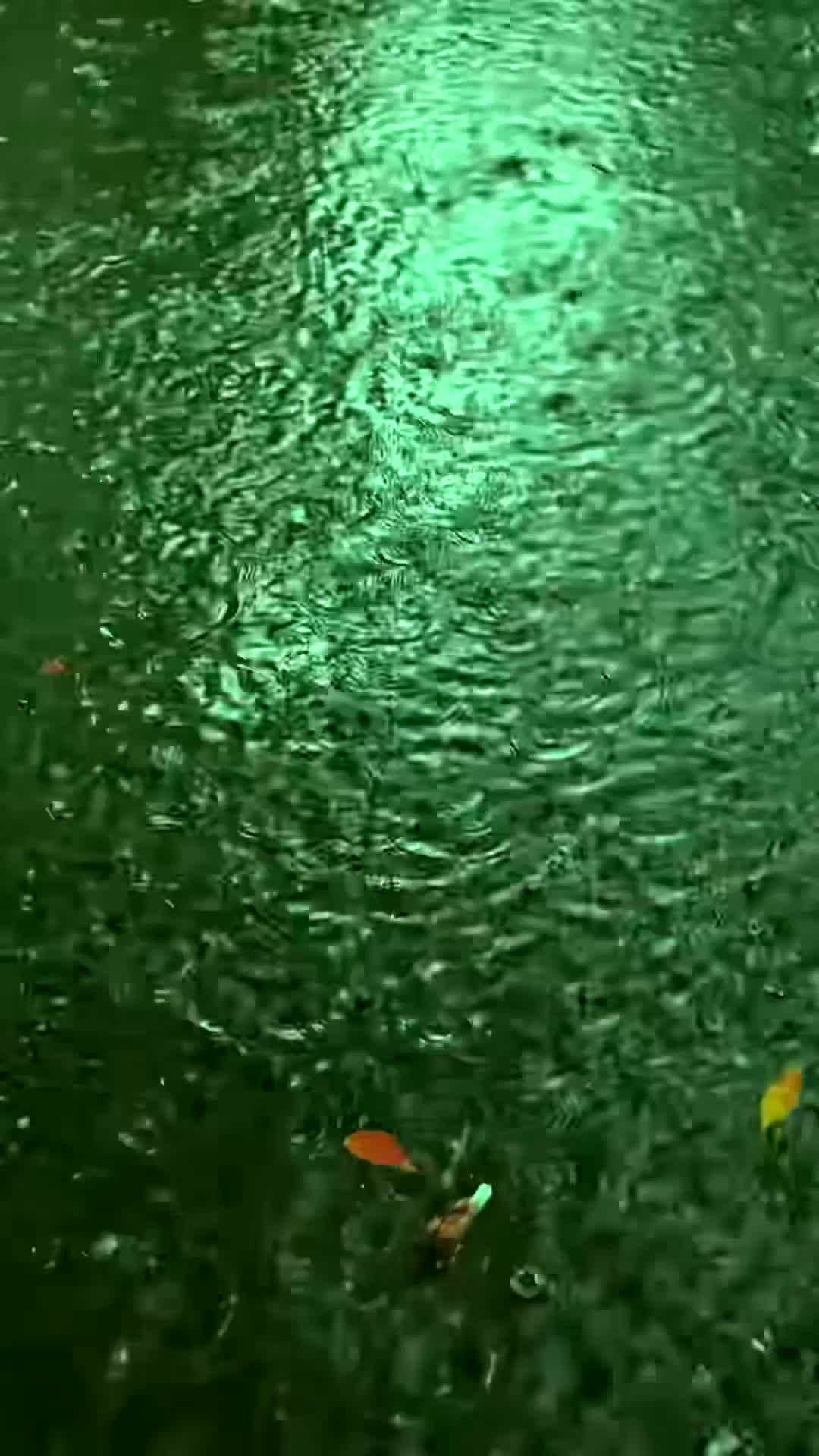 @hefxtom24433464