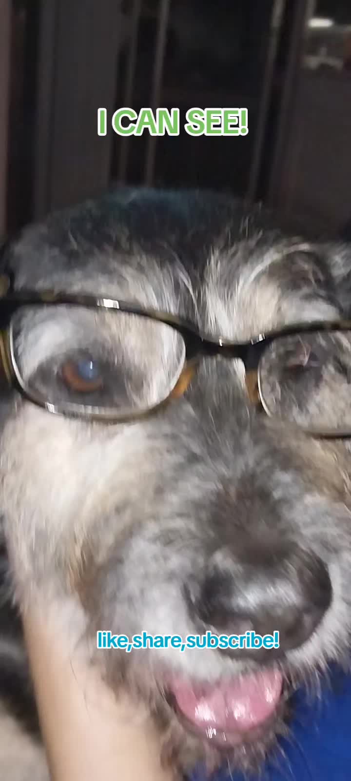 @filmguy13z