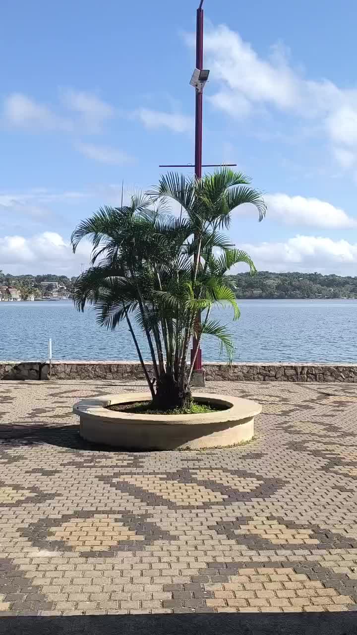 @Escorpión