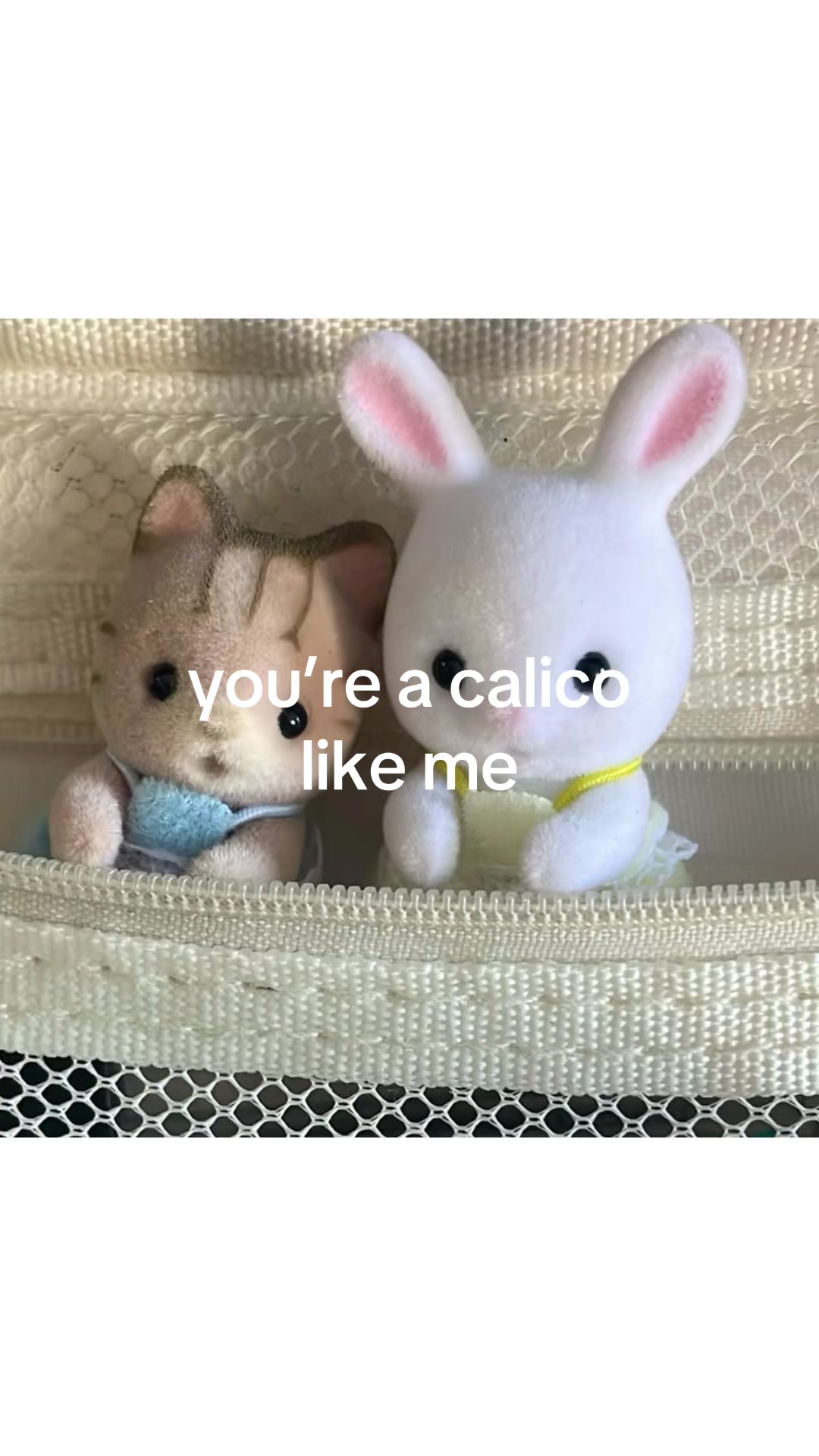 @user43098280