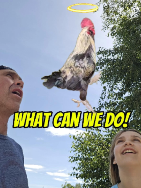 @Whats Next