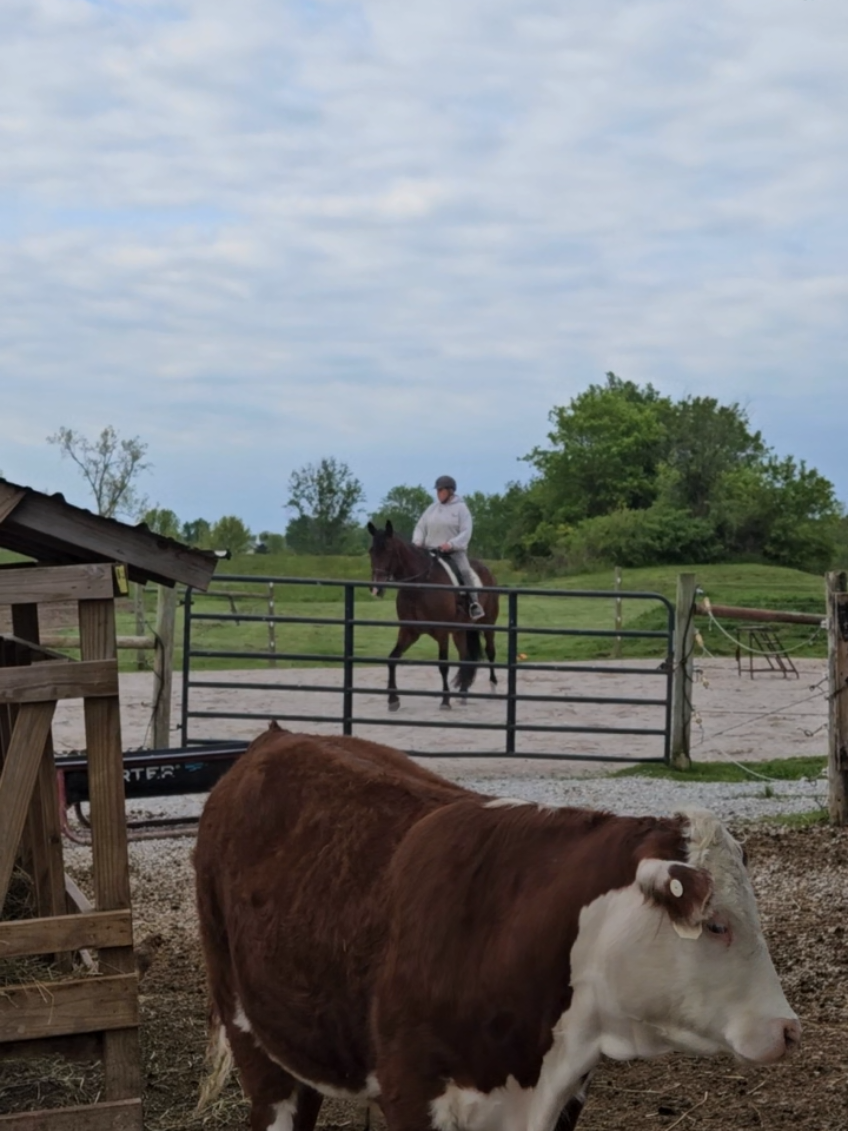 @Contraban Farms