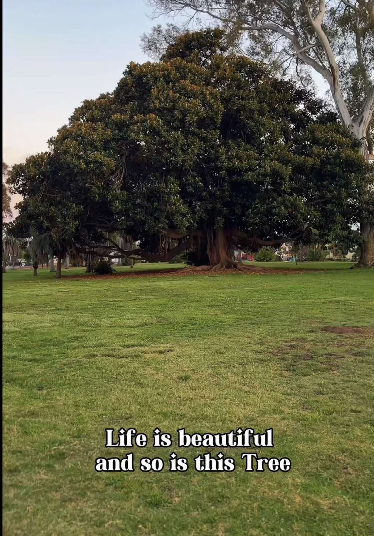 @A
