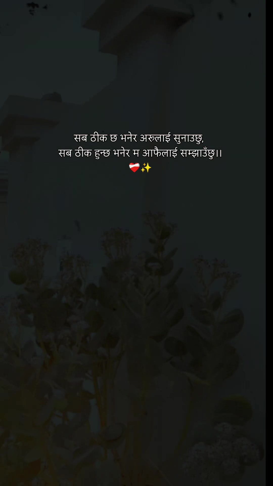 @swostikadhimal386