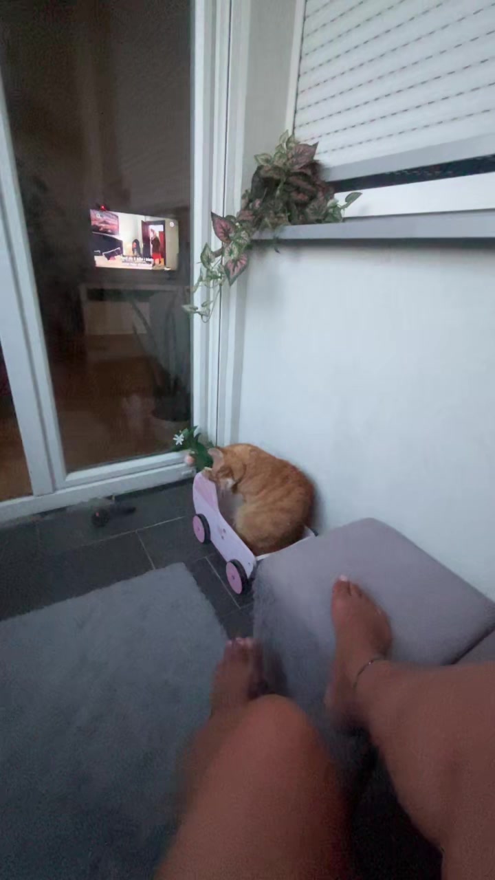 @Ruža Rosa