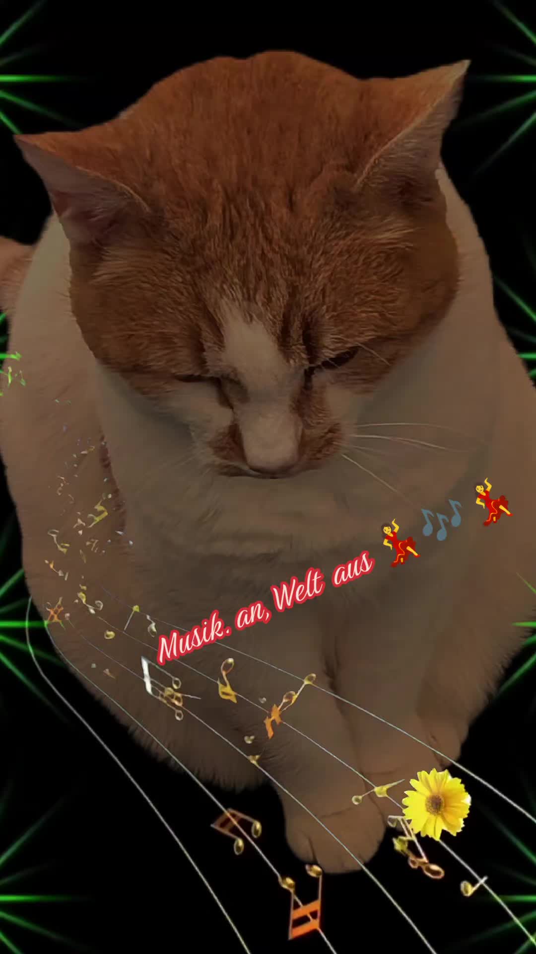 @Babsi