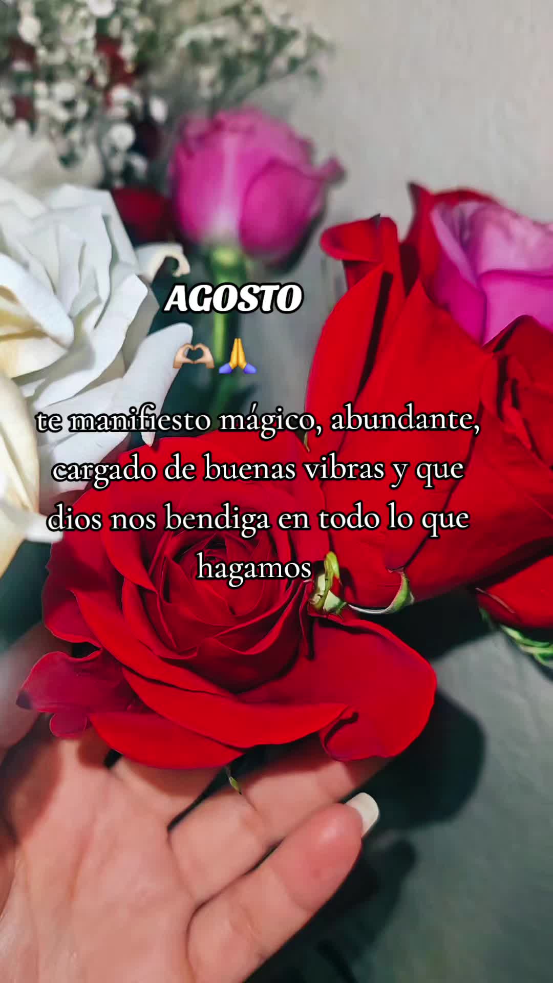 @🦋VALDOVINOS🦋