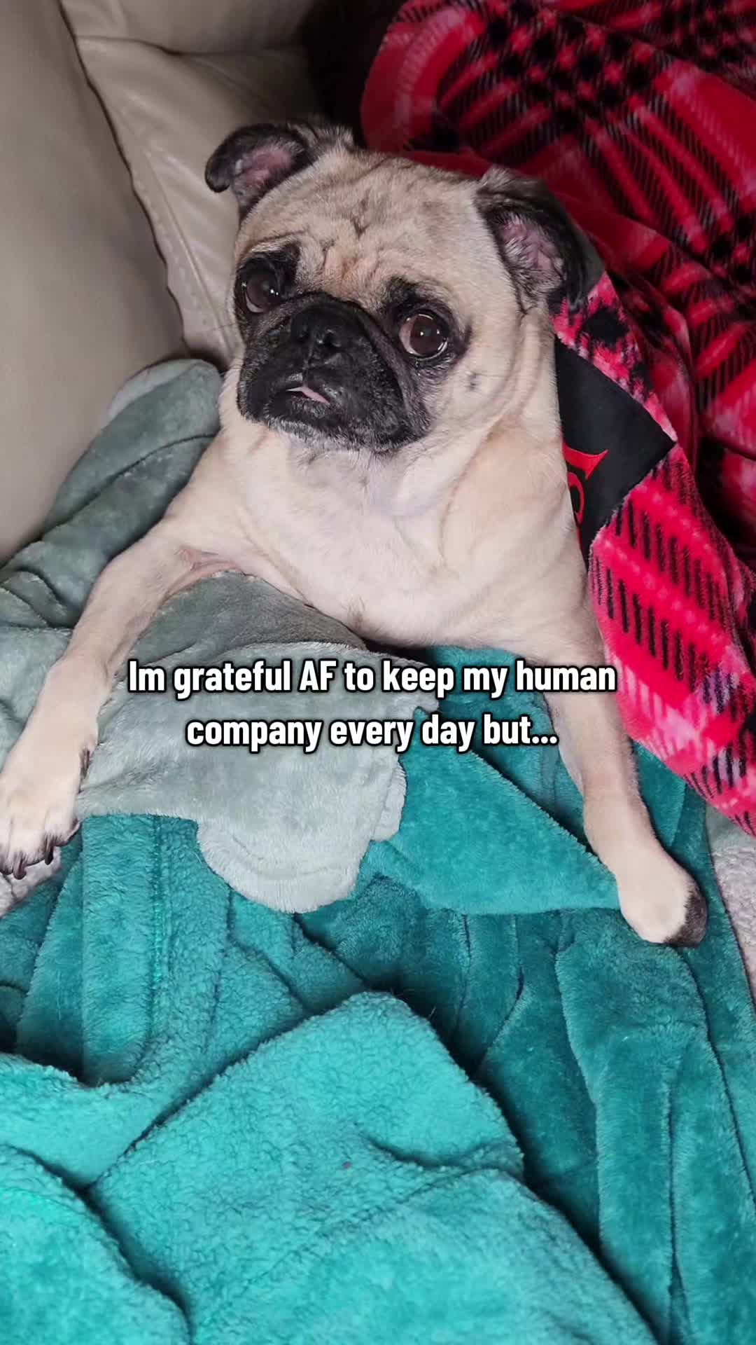 @Lulu