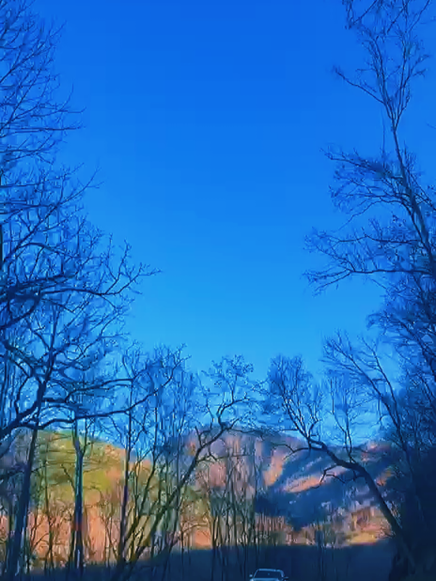 @Forte 🌳🌲🌴 ⛰️