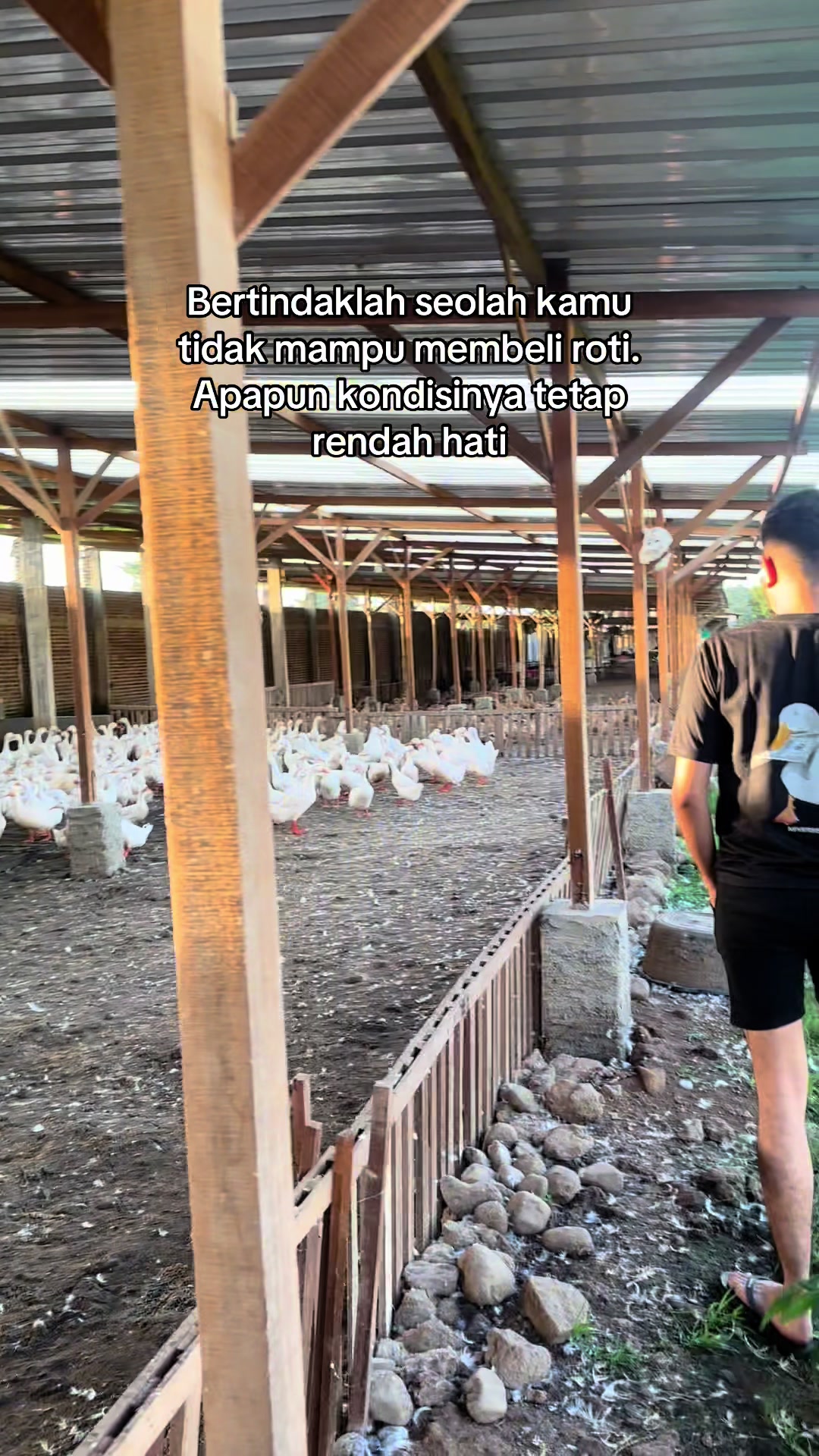 @PT BAGUS JAYA FARM