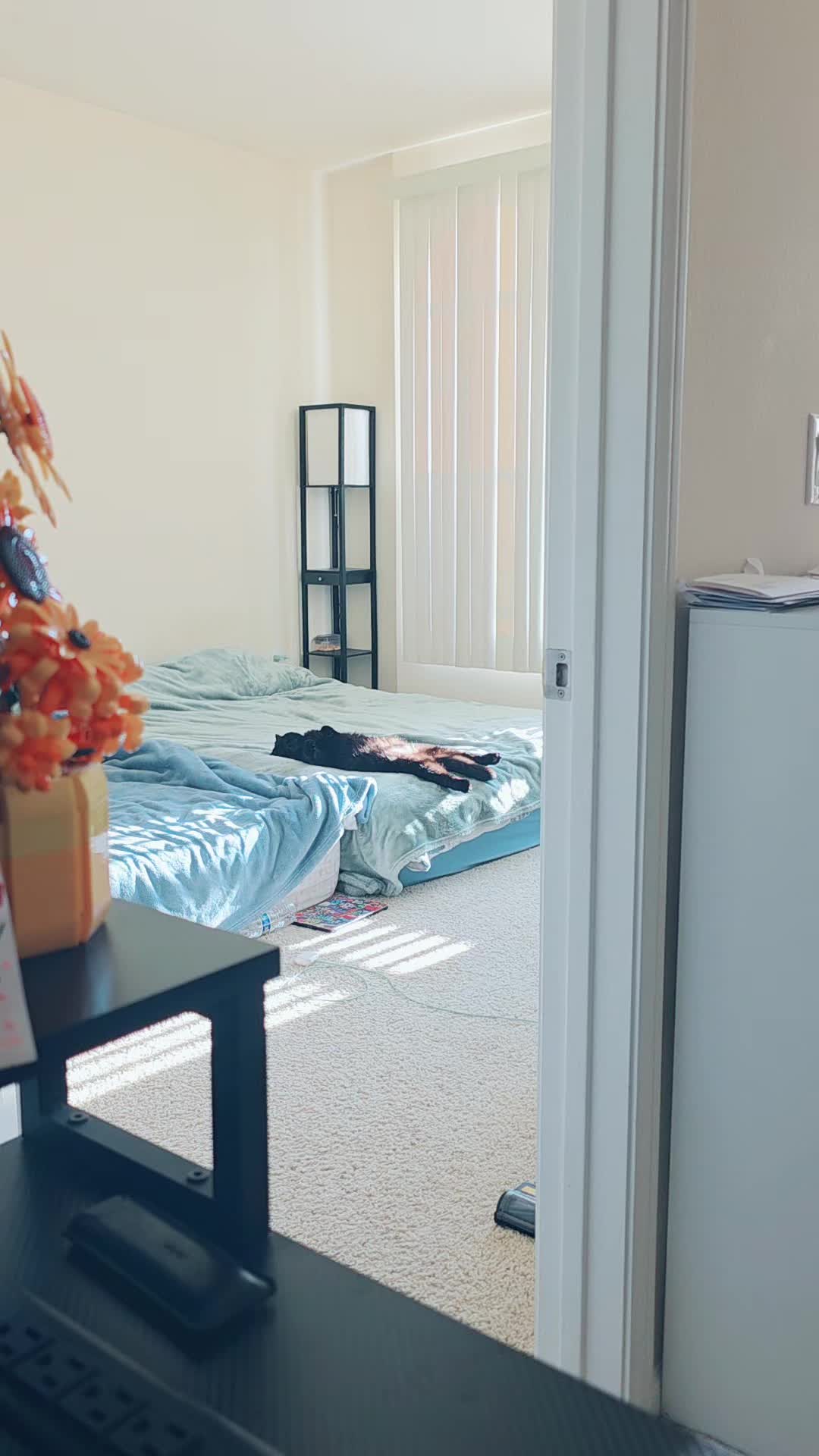 @Yana USA