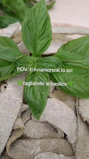 @Momenti Deliziosi