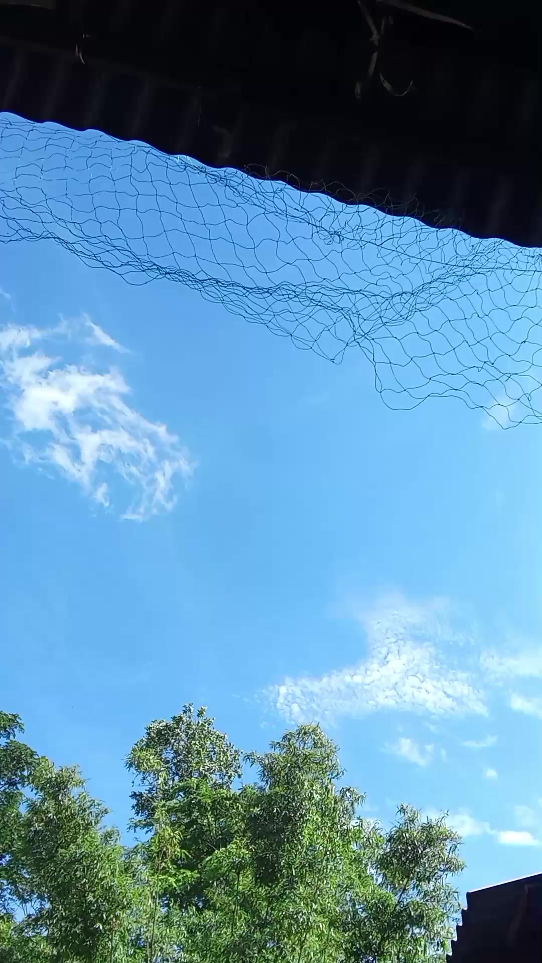 @🇦🇷 ফুটবল লাভার 🇦🇷🥰