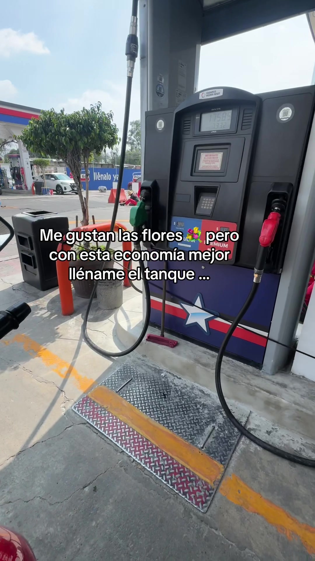 @Mónica Morales 🦋