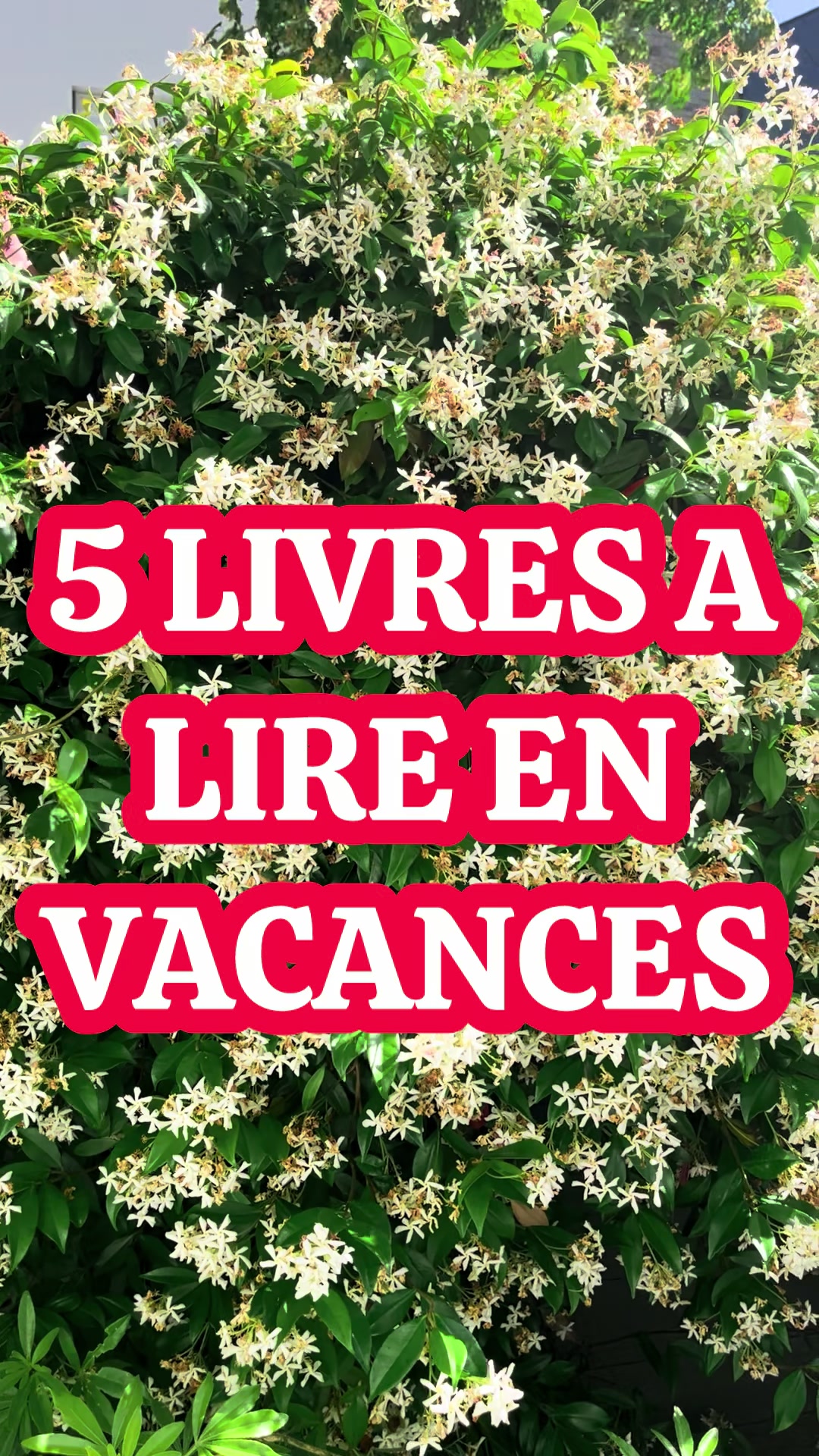 @Cosmos Litt&eacute;raire