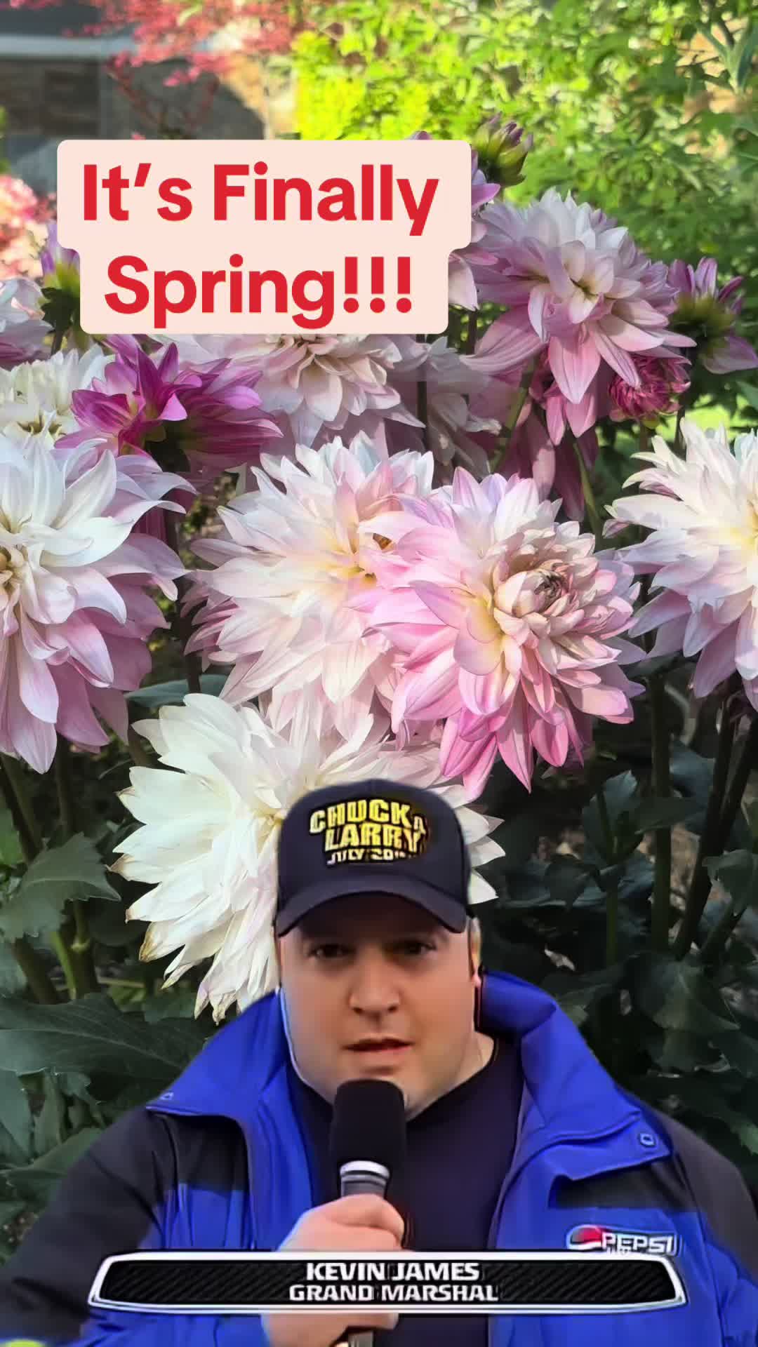 @diggin_the_yard
