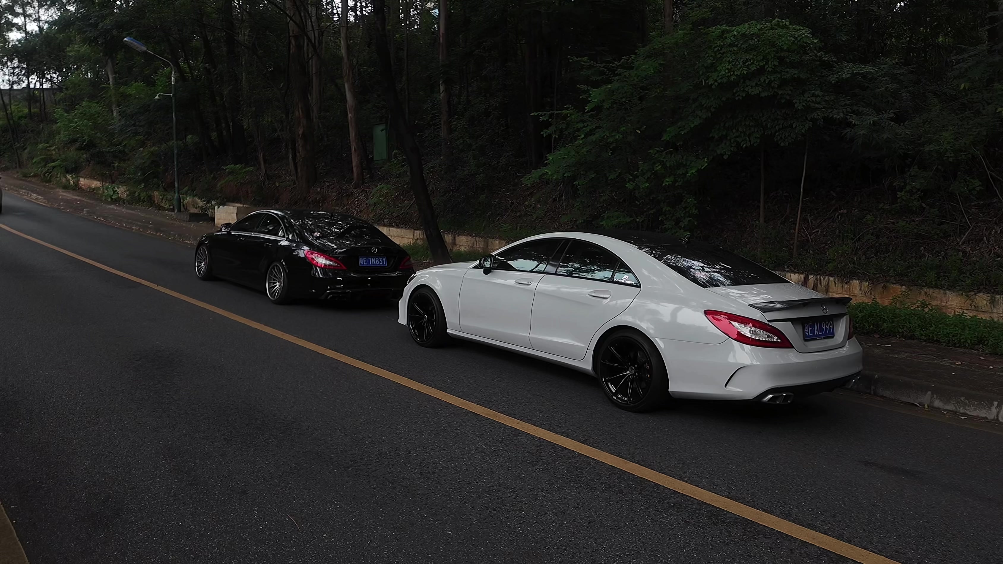 @tarewhips
