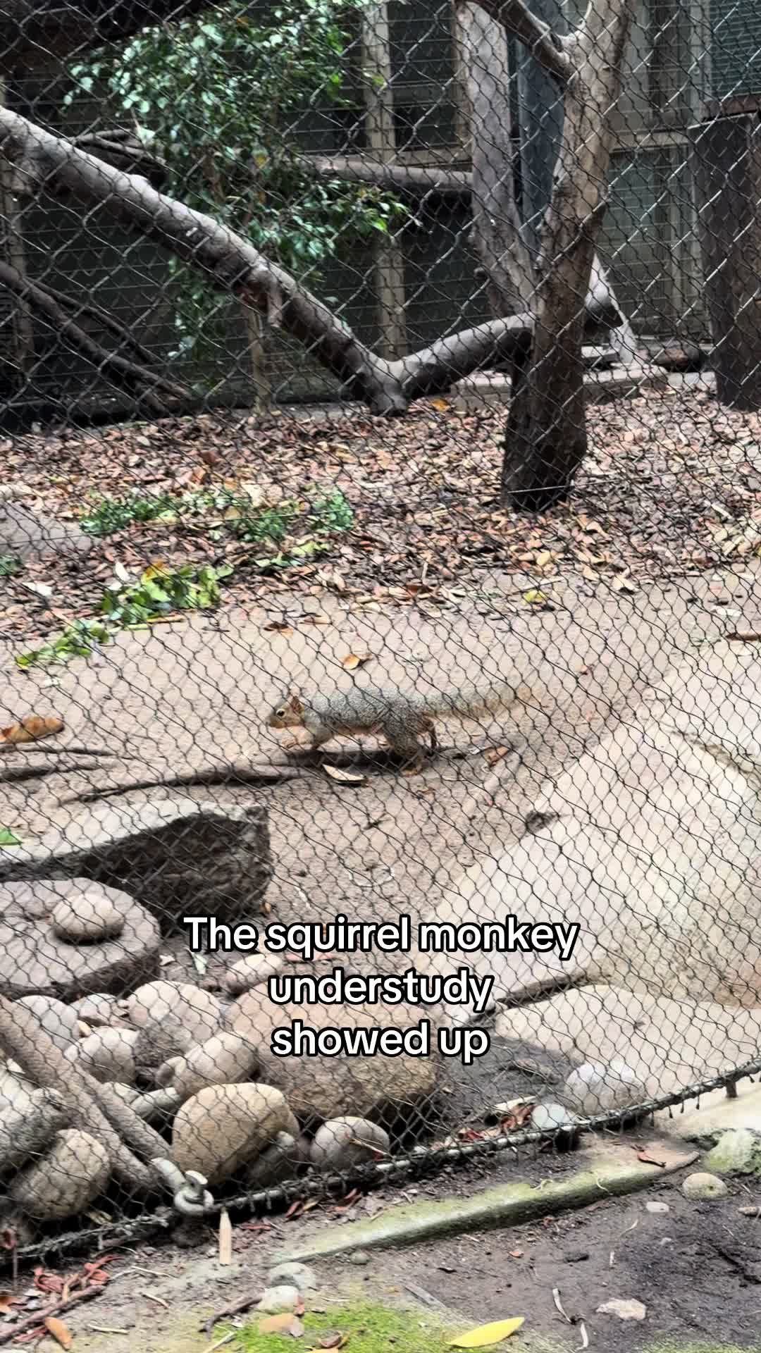 @daily dose of animals 🐾🦁🐬🦎