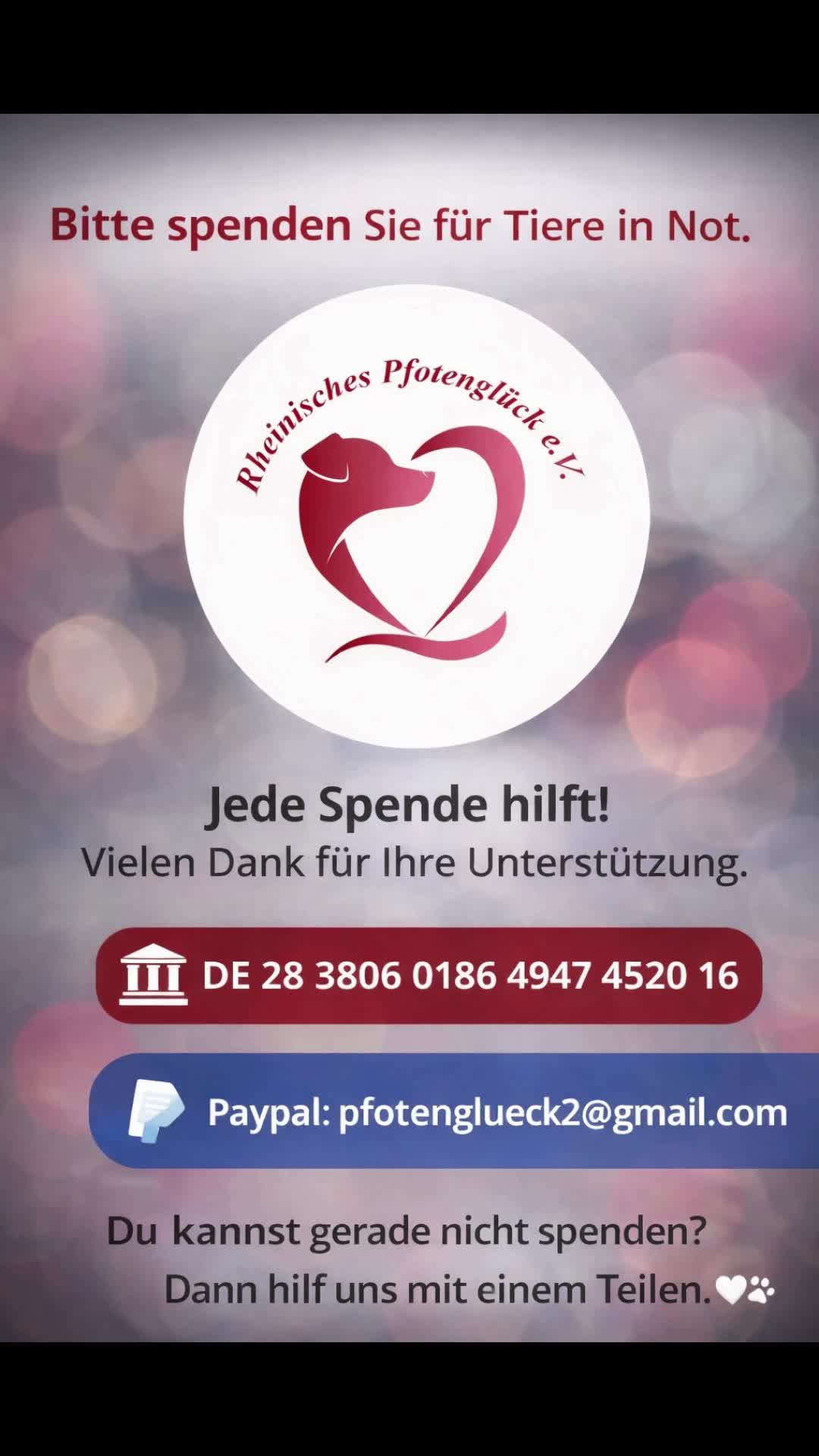 @Rheinisches Pfotengl&uuml;ck e. V.