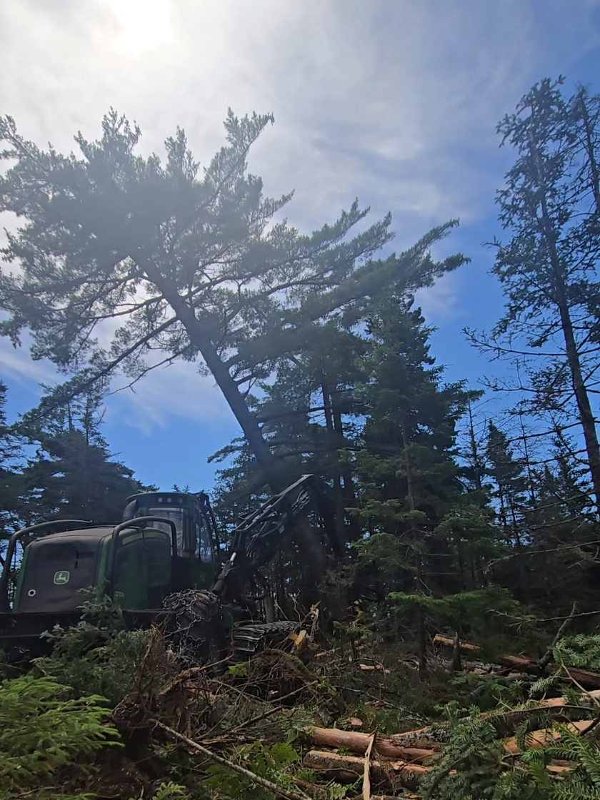 @Nova Scotia Logger