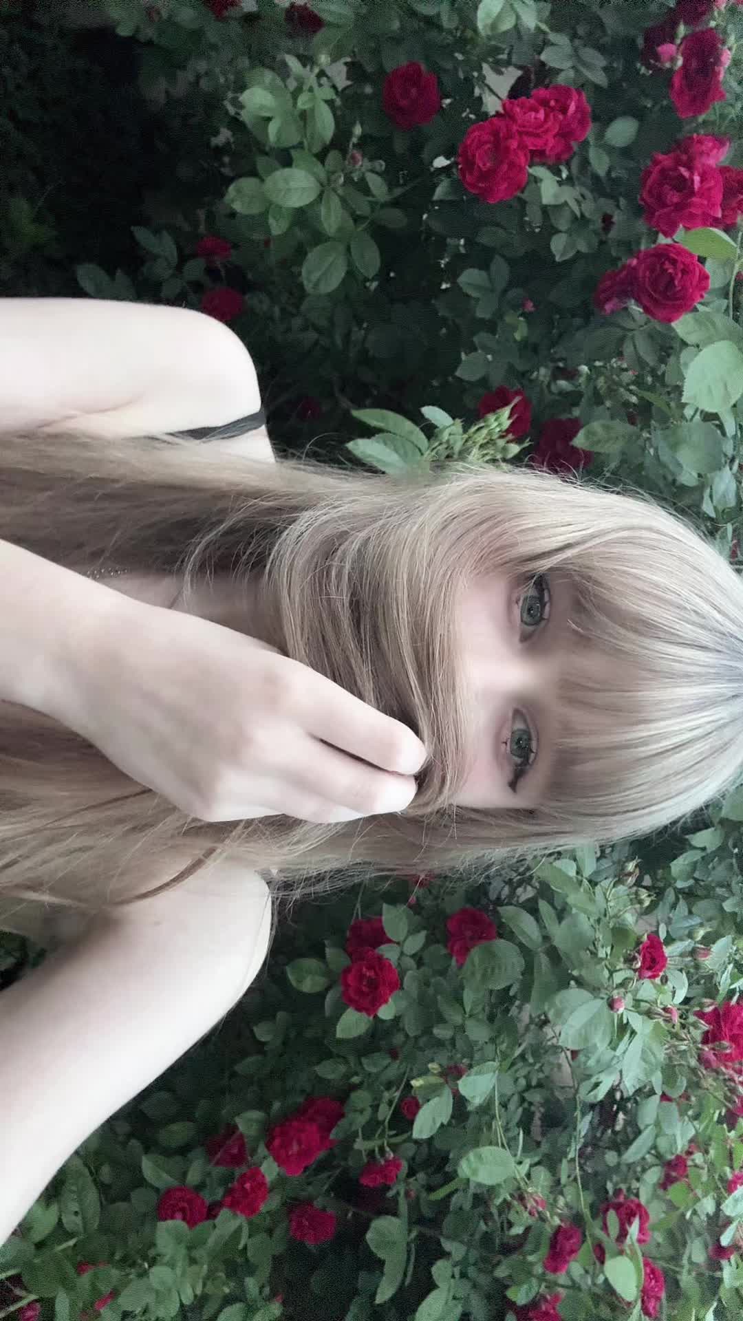 @evanemeow