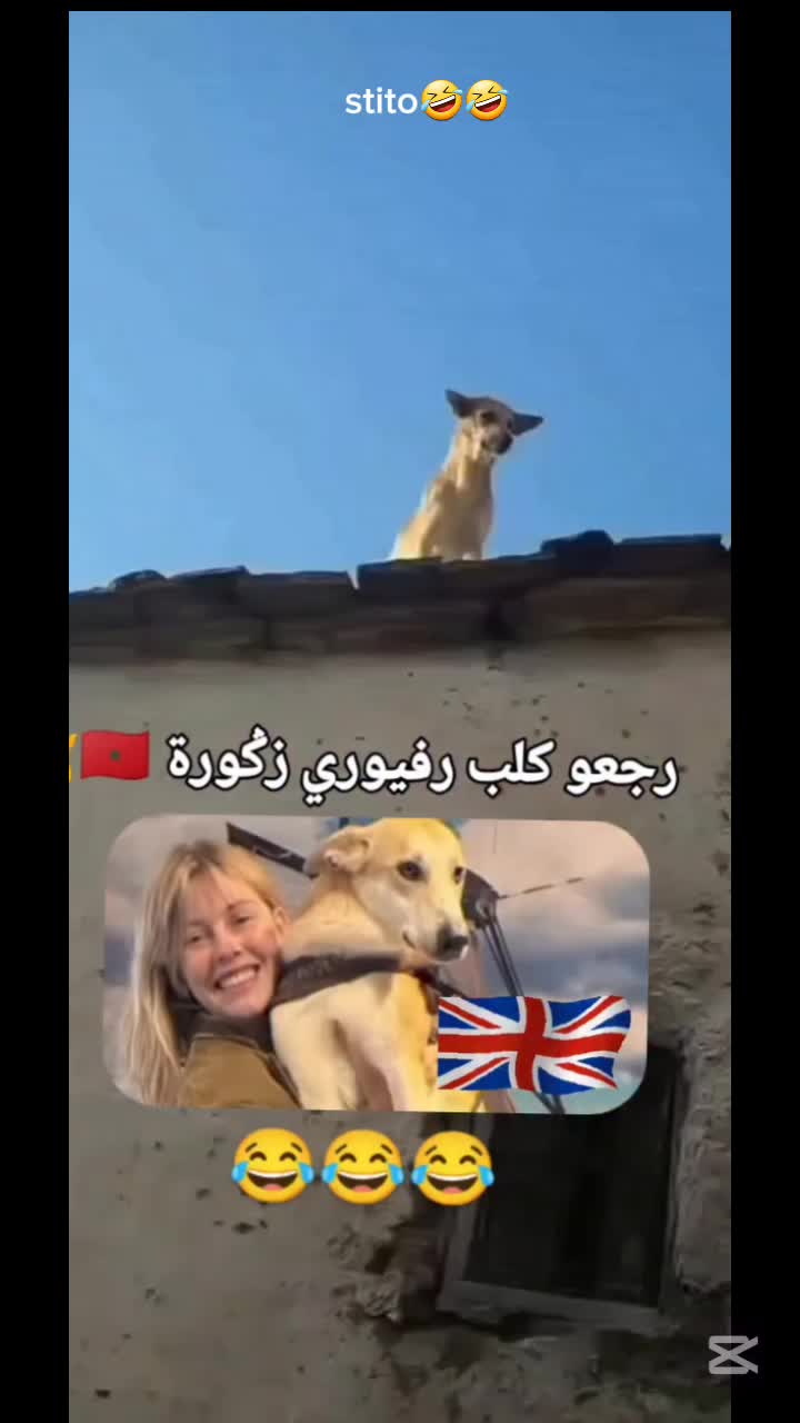 @yassmine