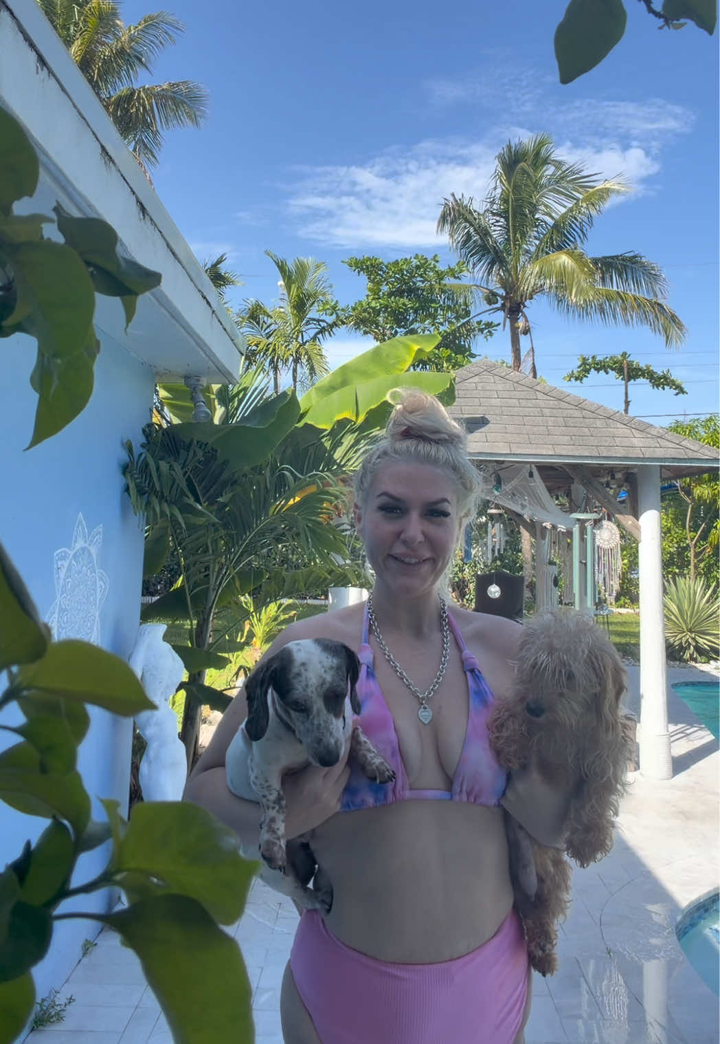 @MyDitzyDoxiesOfFlorida
