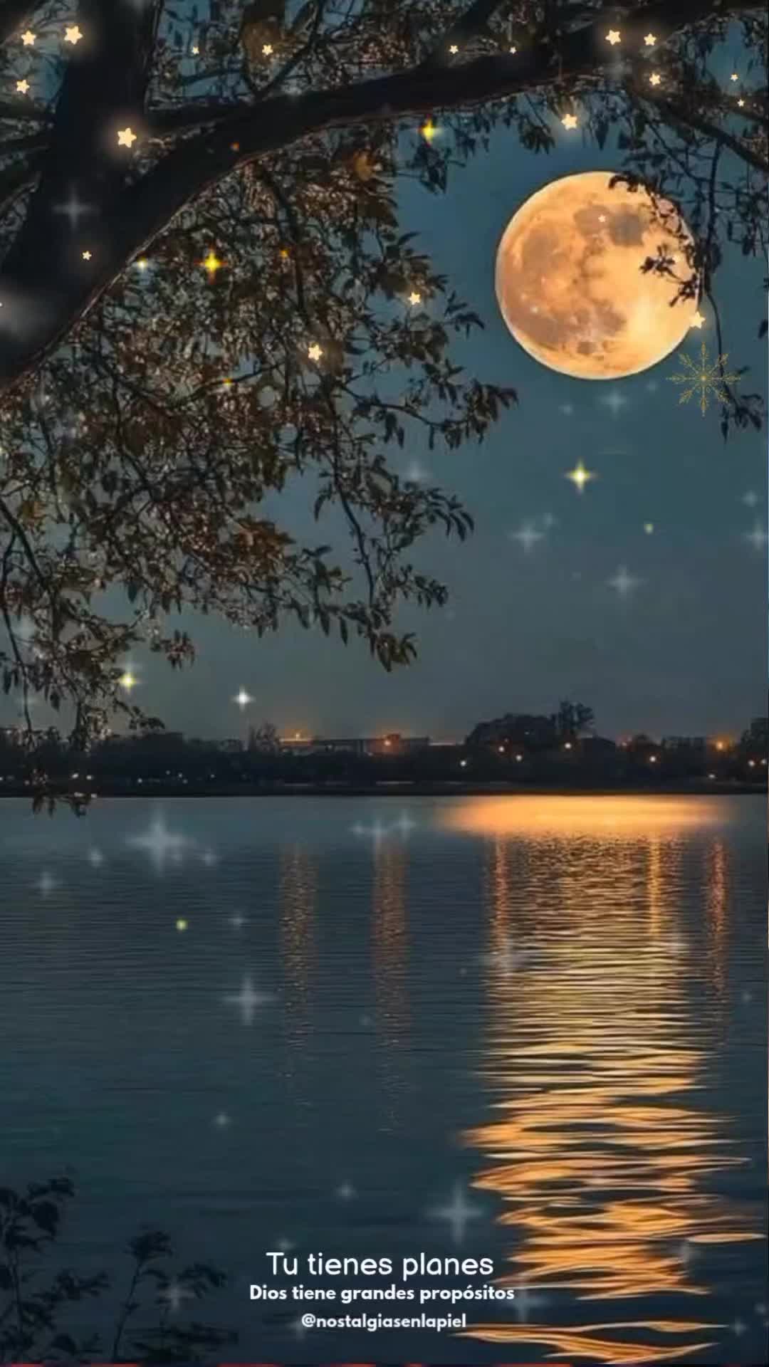 @nostalgiasenlapiel