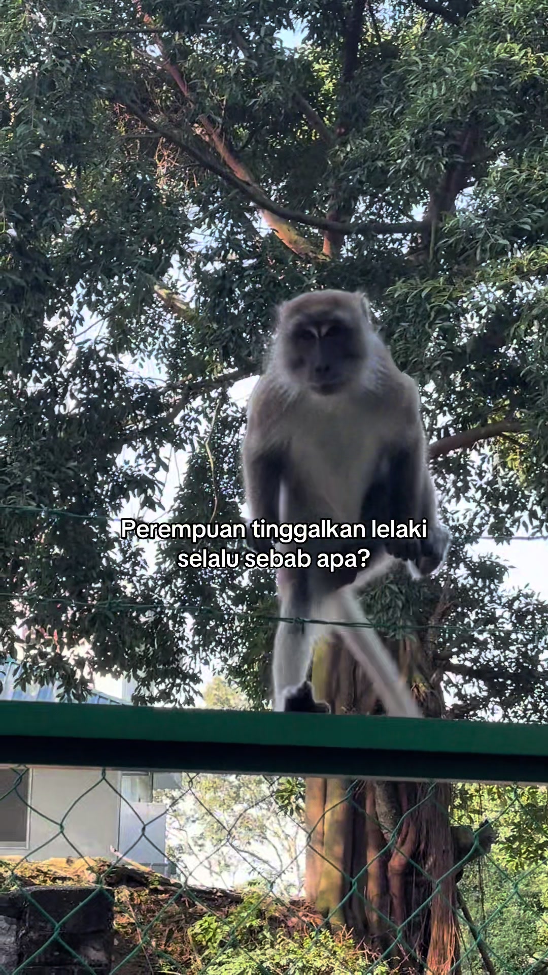 @دانش🦘
