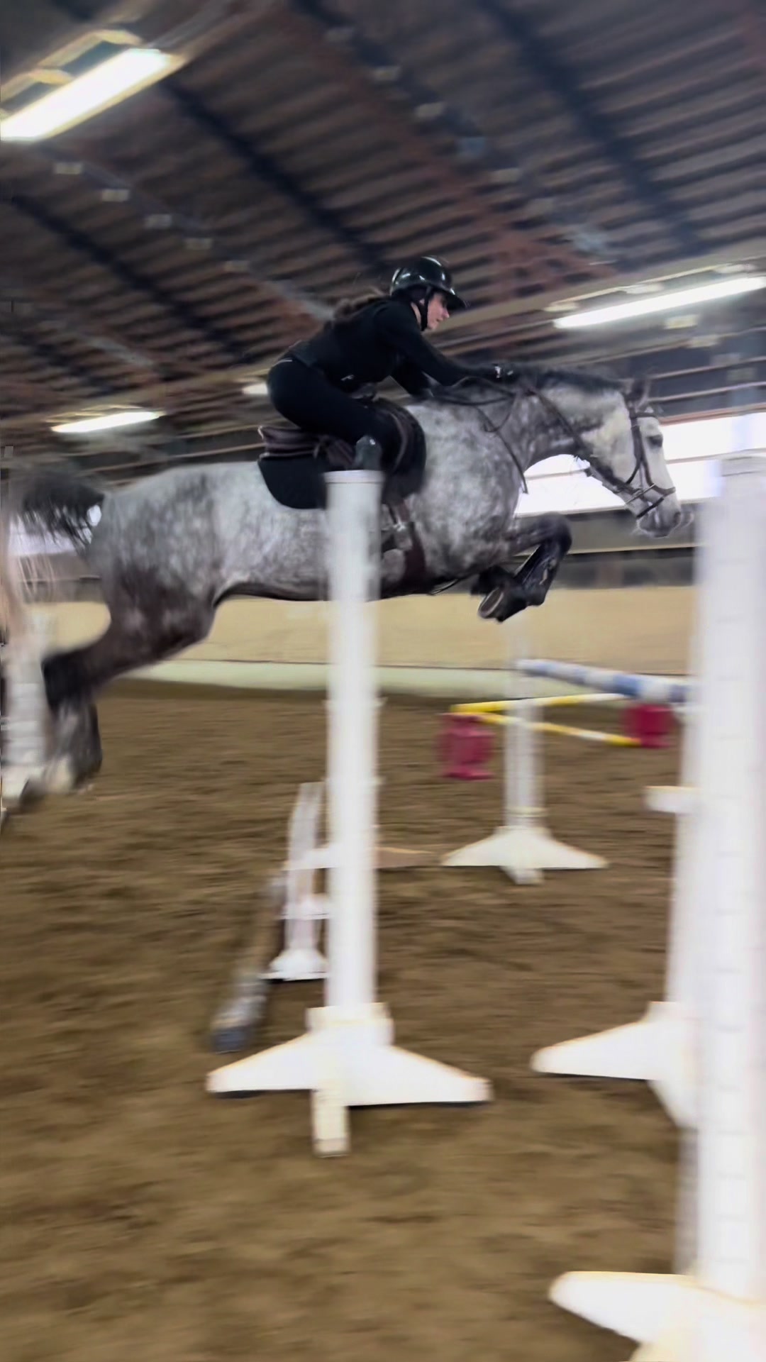 @audrey