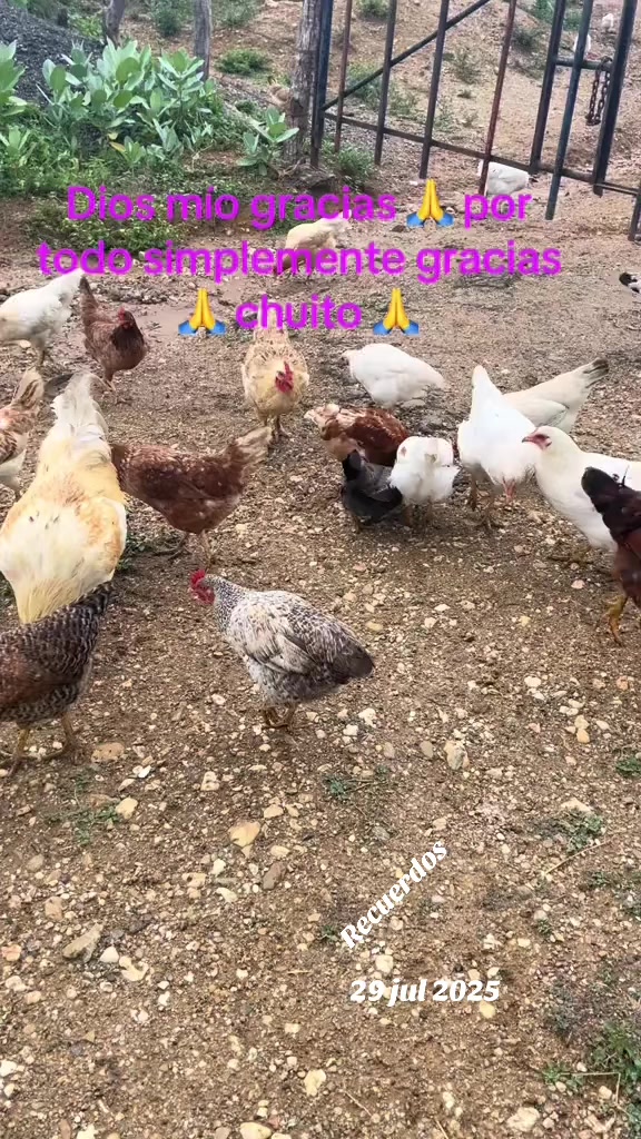 @Marian López