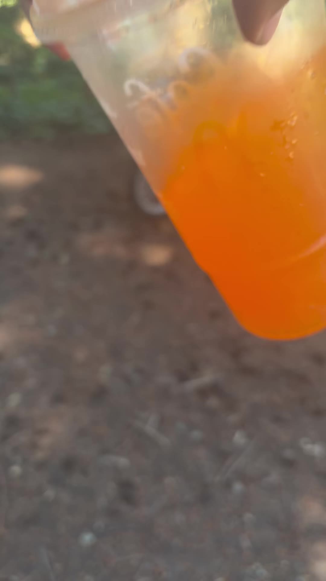 @178.𝒻𝑒𝓇𝓇𝒾𝓈