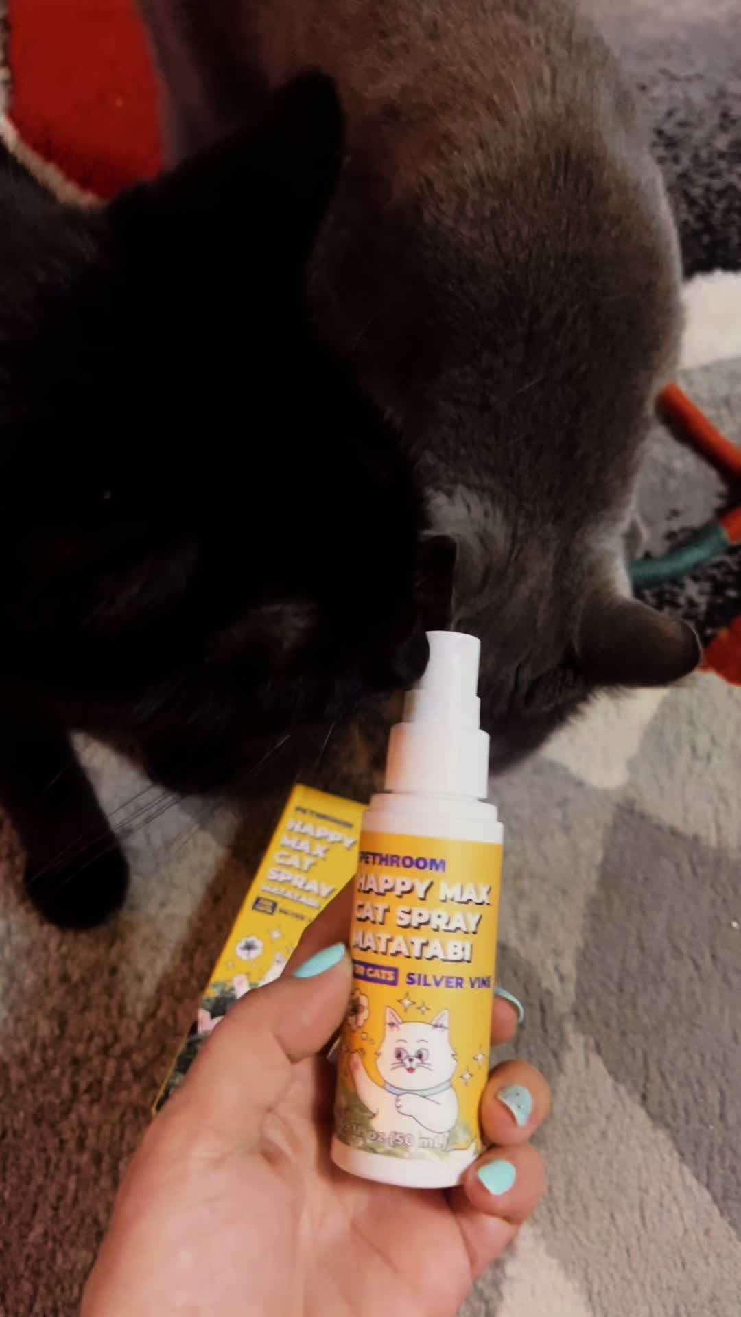 @Concerned_Kitty