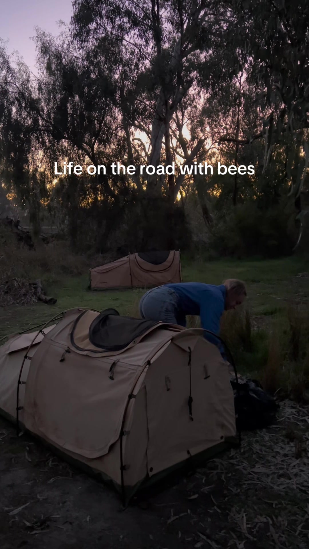 @phiasbees
