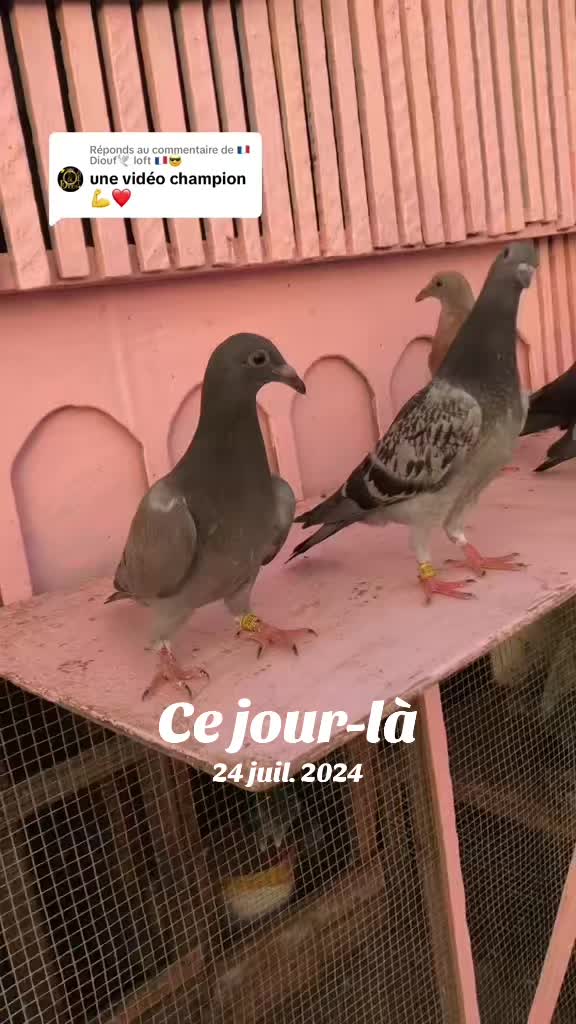@OMZOLOFT🕊🦜🇸🇳