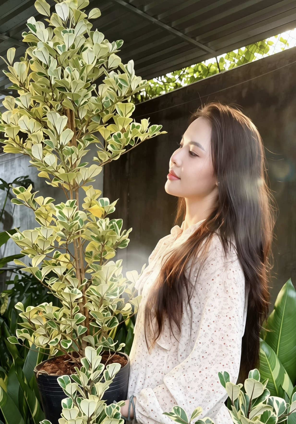 @Tiệm Lá Nhỏ