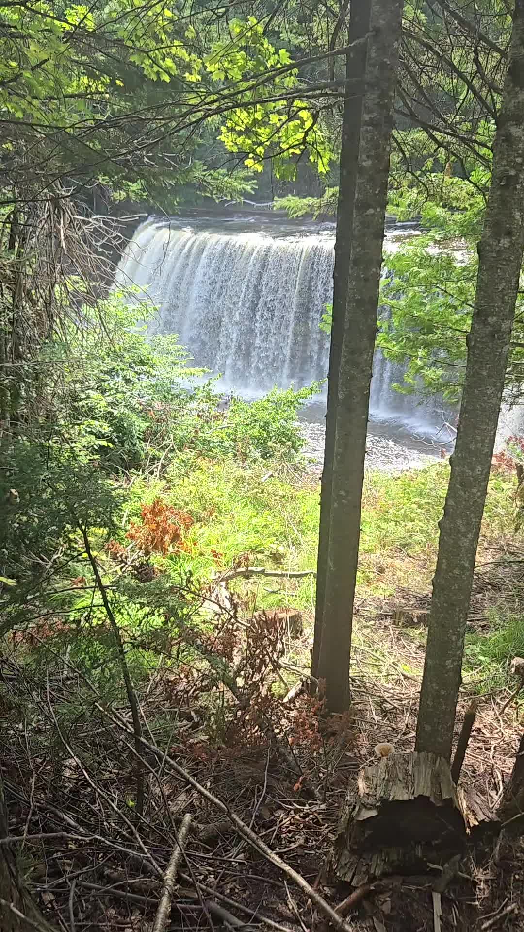 @rockandrollcowboy74