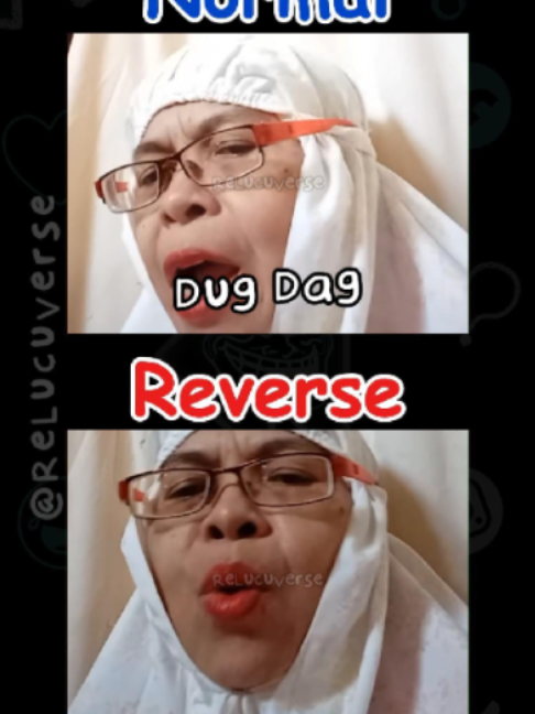 @ReLucuVerse