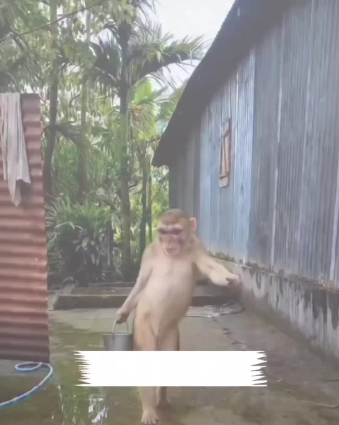 @My funny video